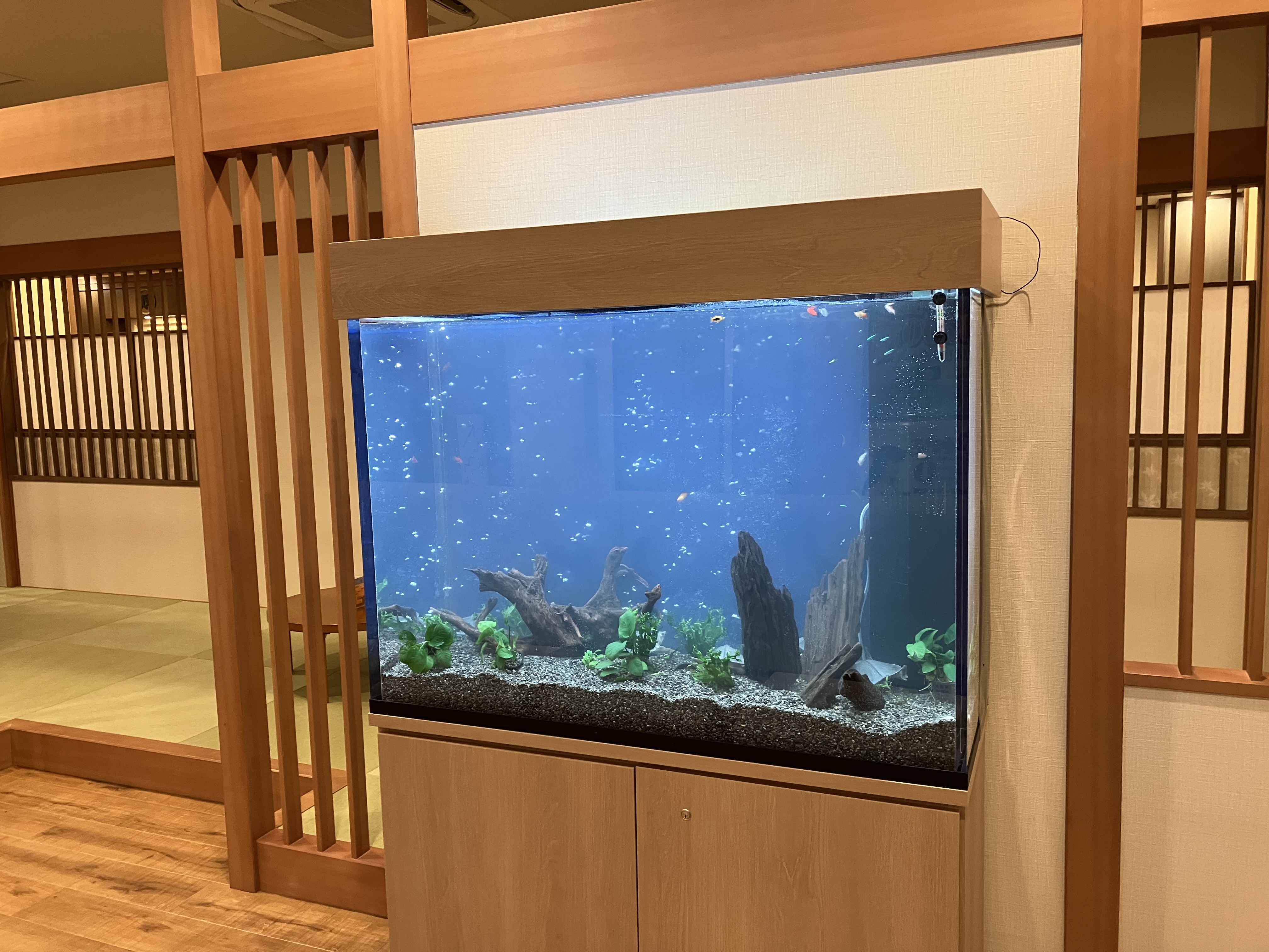 水草を配したオフィス・ご自宅の水槽