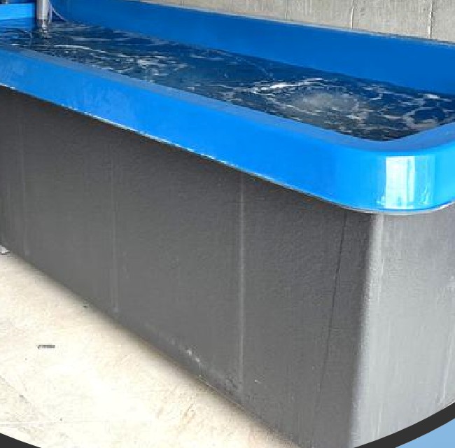 業務用のFRP製活魚水槽